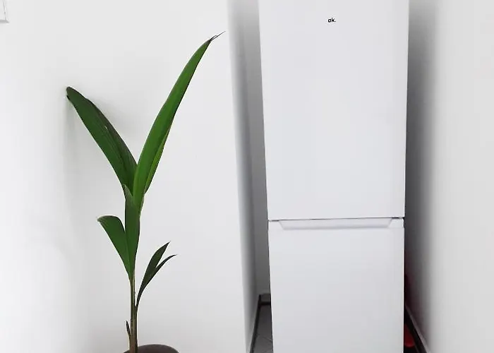 Schoene, Ruhige Zweiraumwohnung Im Angesagten Altlindenau Apartment *